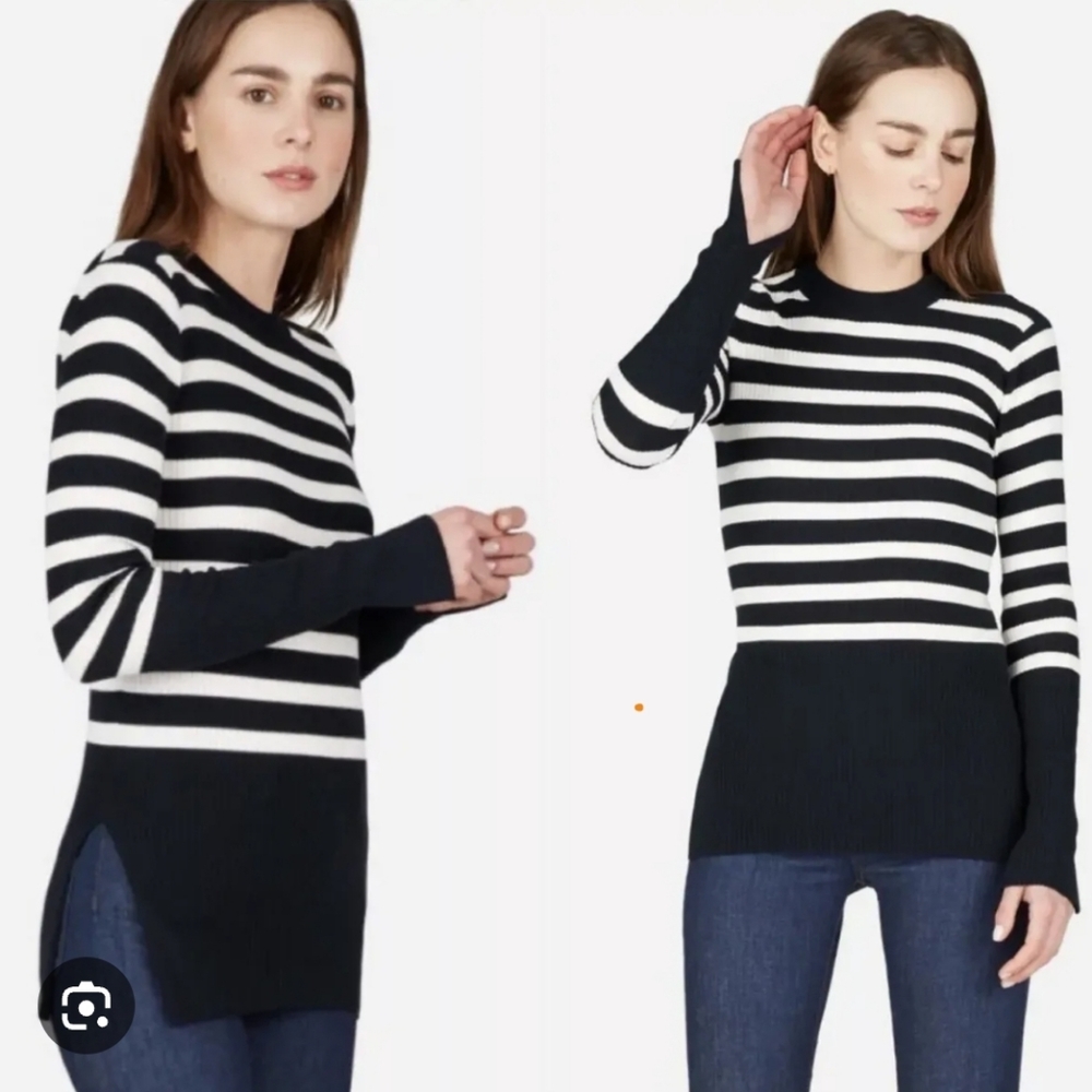 Everlane The Breton Ribbed Sweater
